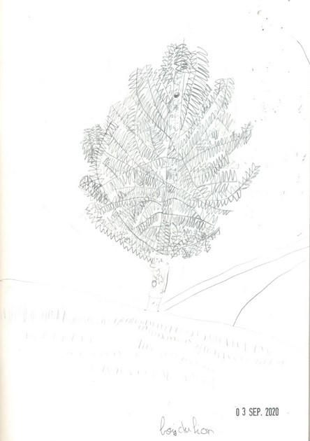 croquis_bois_du_lion_03_09_2020_ayoub_yasidi_6e6_r_2.jpg Thumbnail