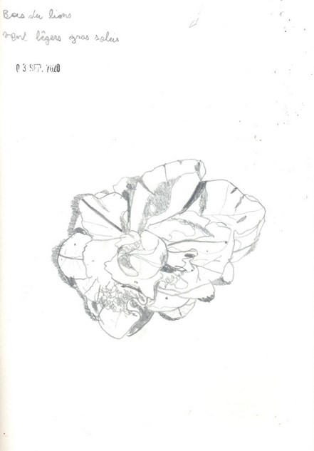 croquis_bois_du_lion_03_09_2020_bilal_6e6_r_2.jpg Thumbnail