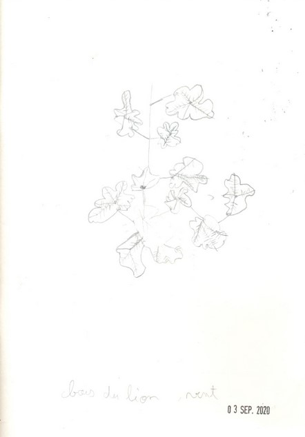 croquis_bois_du_lion_03_09_2020_martin_nunes_pires_6e6_r_2.jpg Thumbnail