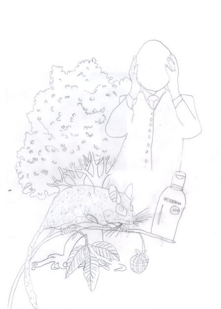 6e6pac_calque_baptiste_001.jpg Thumbnail
